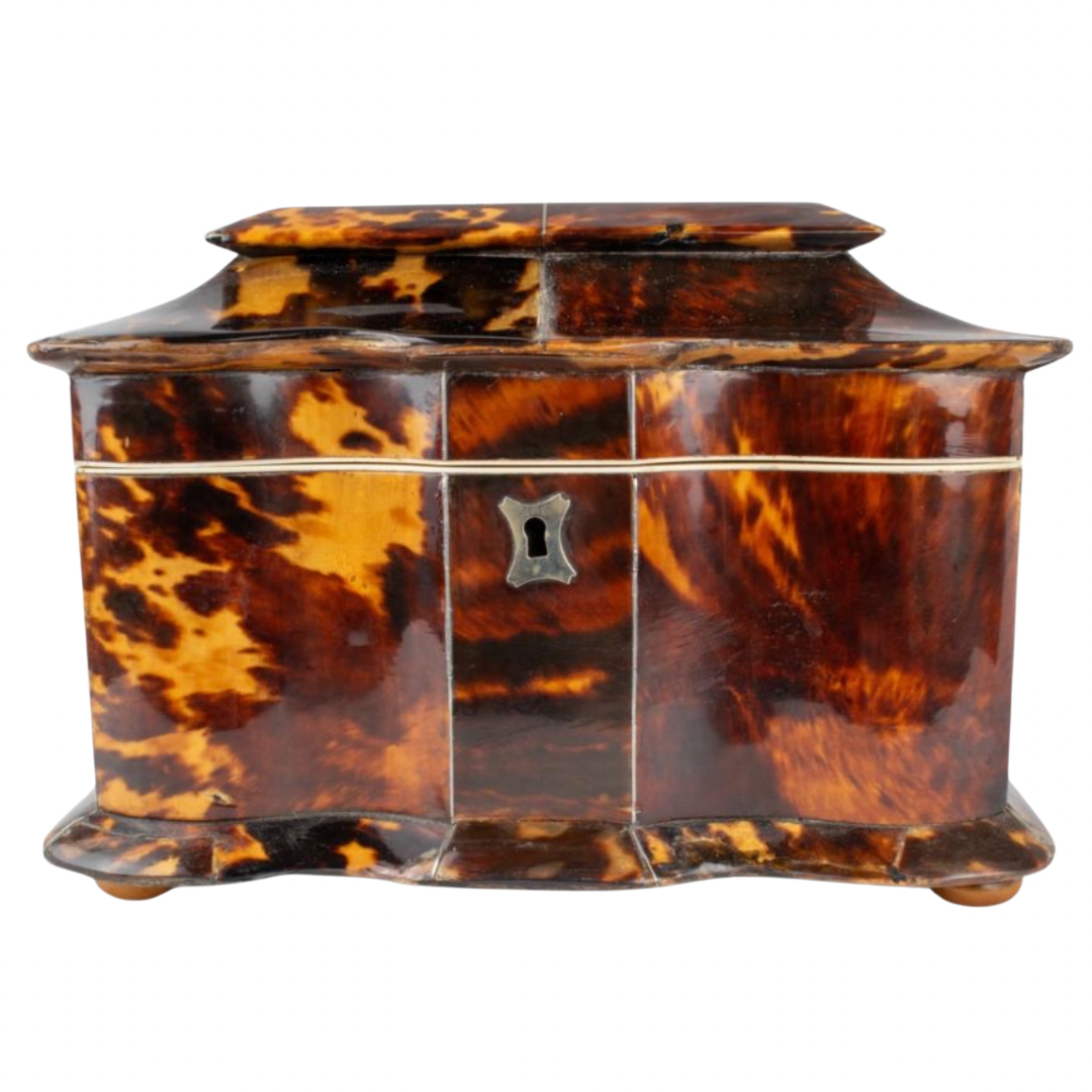 Georgian Tortoiseshell Tea Caddy